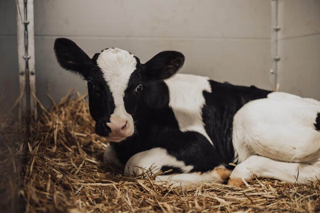 Untermathon_niedrigauflösend-008