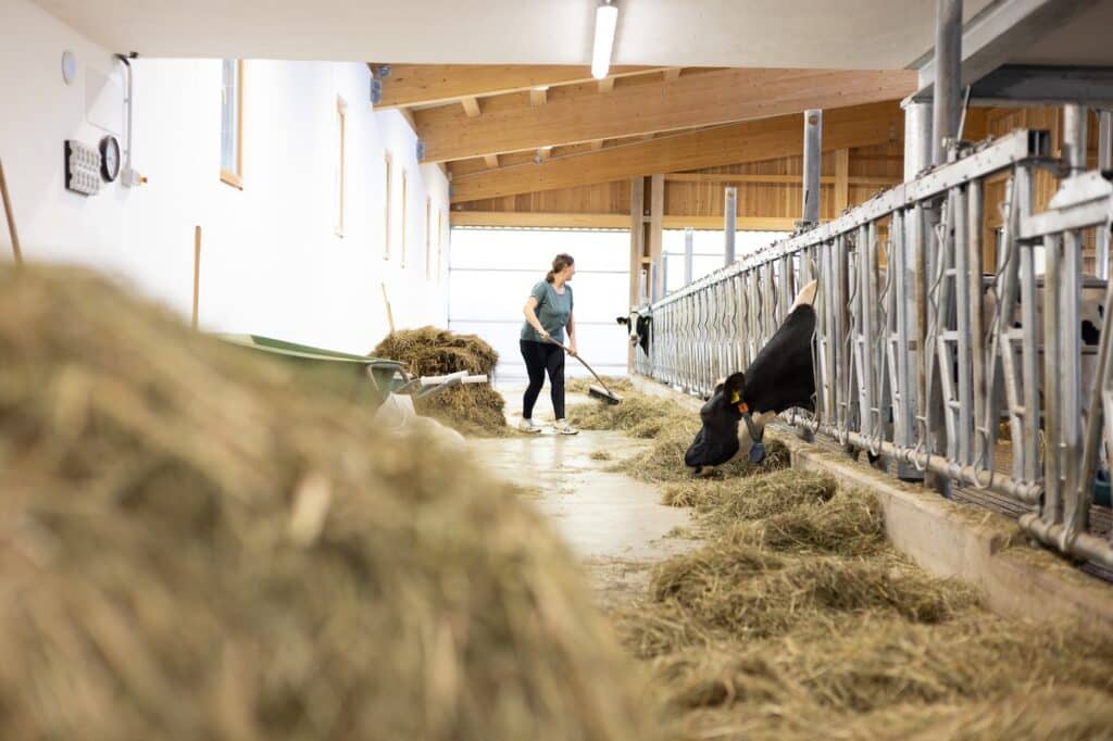 Untermathon_niedrigauflösend-023