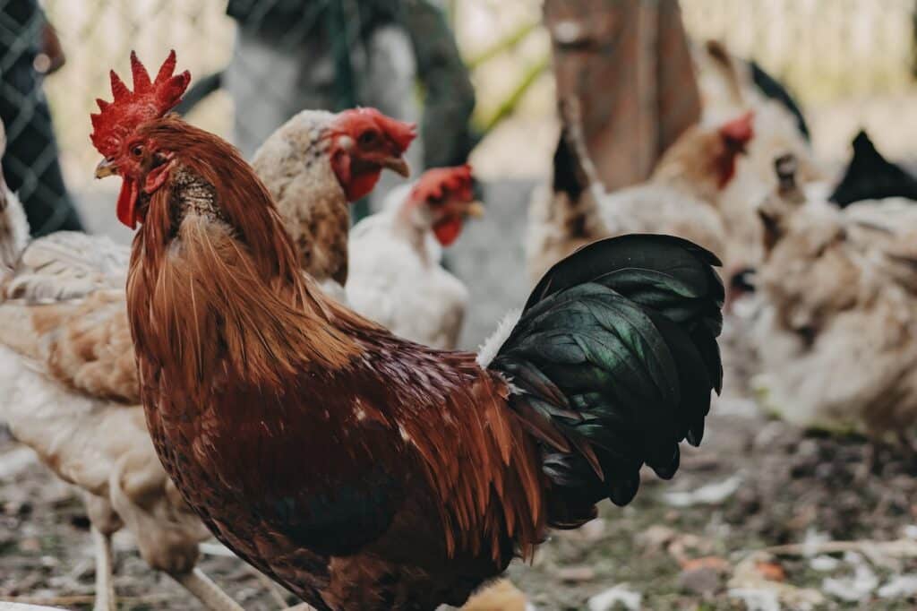 Untermathon_niedrigauflösend-145